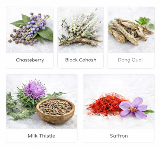 ingredients of the supplements