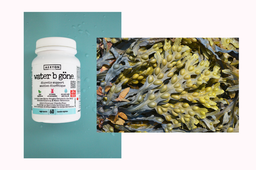 September 2025 Supplements