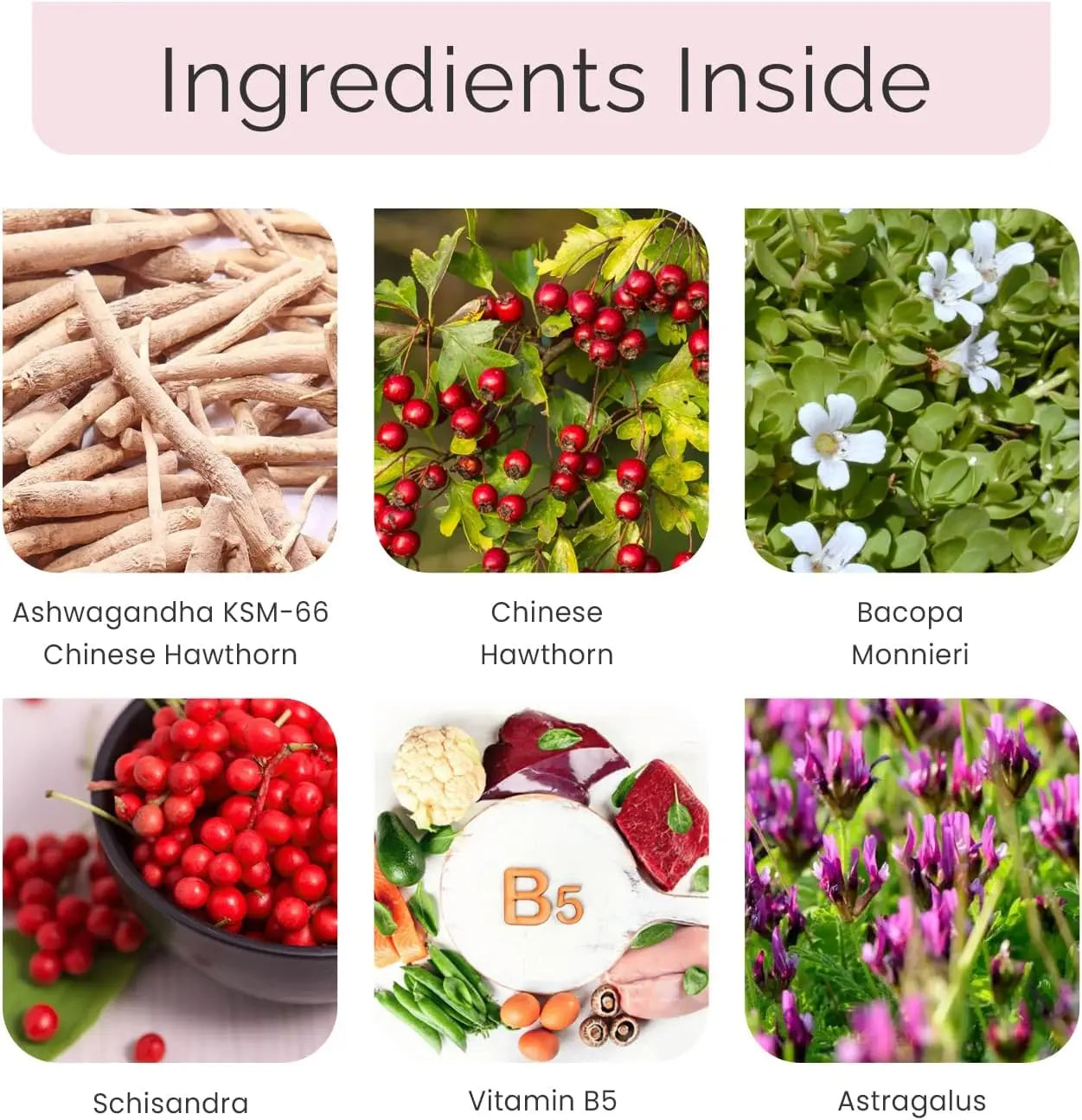 U Remïnd Me : Brain Fog, Memory Support