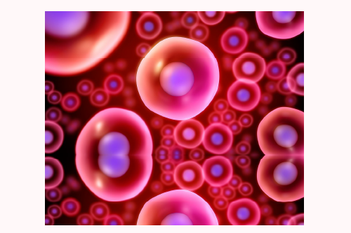 The Menstrual Blood and Stem Cell Connection